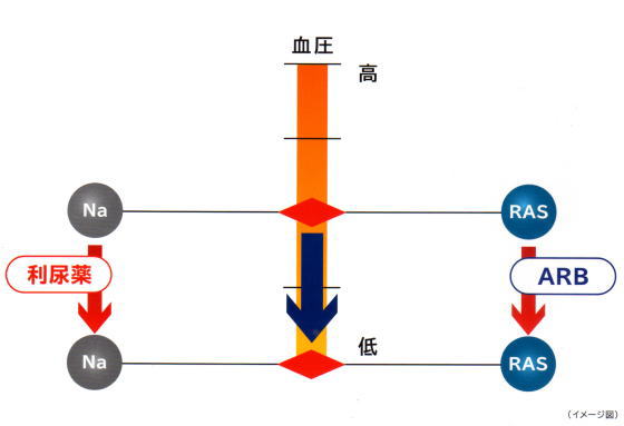 Hma．30 推定1日食塩摂取量の報告書記載について